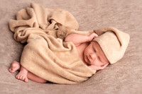 Newborn Gallery 7-Oct-25