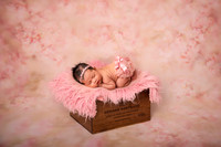 Newborn Gallery 24-Jan-23