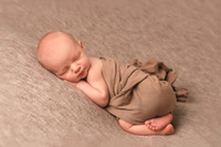 Newborn Gallery 20-Feb-21