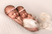 Newborn Gallery 16-Nov-18
