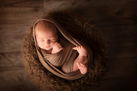 Newborn Gallery 19-Nov-18
