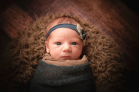 Newborn Gallery 23-Nov-21