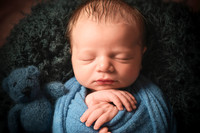 Newborn Gallery 2-Nov-21