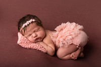 Newborn Gallery 26-July-20