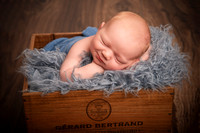 Newborn Gallery 21-Mar-24