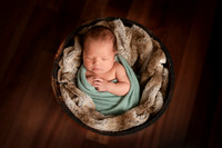 Newborn Gallery 28-Oct-24